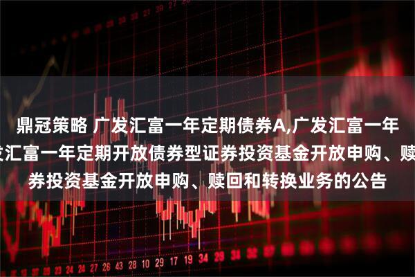 鼎冠策略 广发汇富一年定期债券A,广发汇富一年定期债券C: 关于广发汇富一年定期开放债券型证券投资基金开放申购、赎回和转换业务的公告